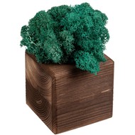 Декоративная композиция GreenBox Fire Cube, бирюзовый